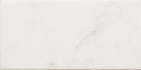 Плитка настенная CARRARA Carrara 23079 (EQUIPE)